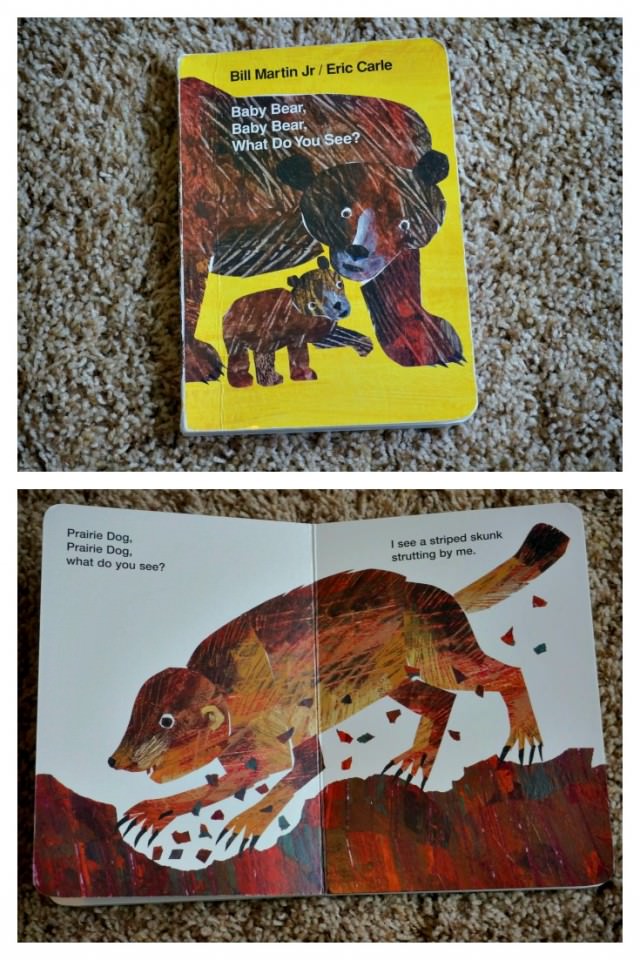 baby bear baby bear what do you see