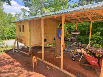 DIY Chicken Coop