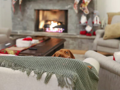 Five on a December Friday