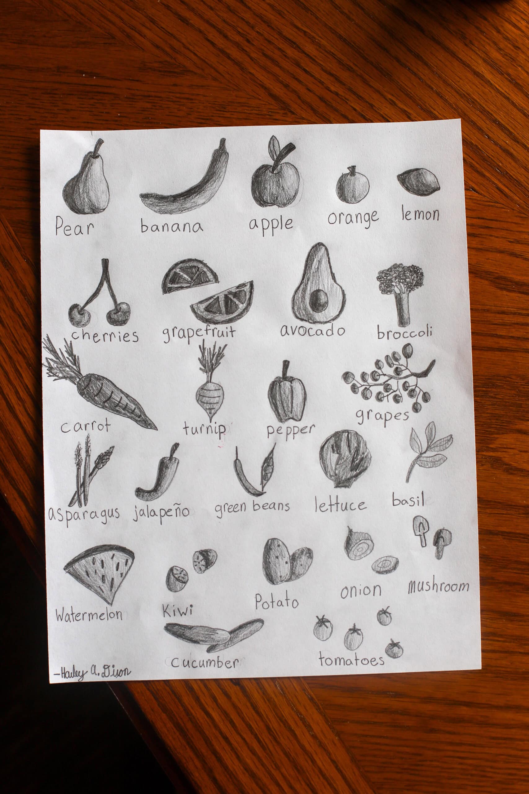 Hailey's art Hailey's art