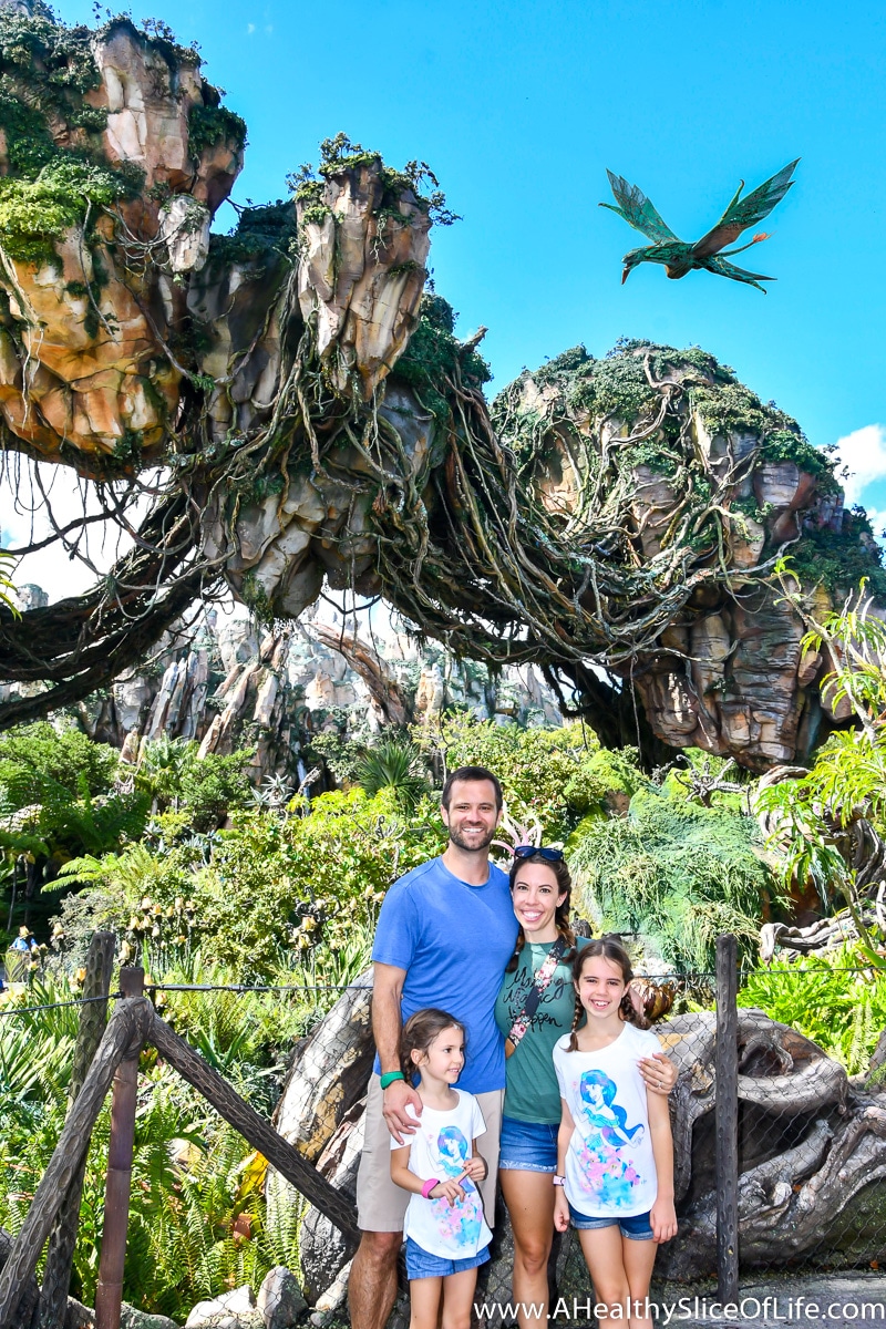 Pandora Animal Kingdom