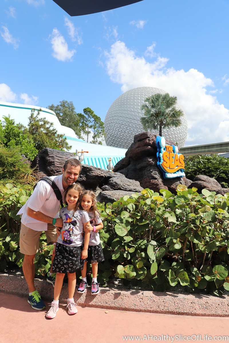seas with Nemo epcot