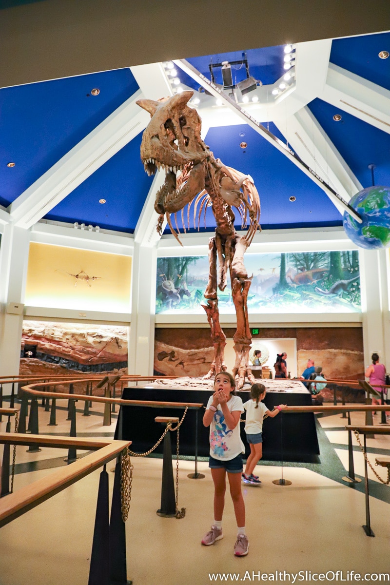 DINOSAUR Animal Kingdom