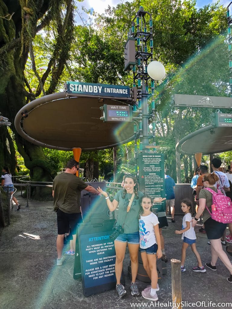 long wait Avatar Flight of Passage