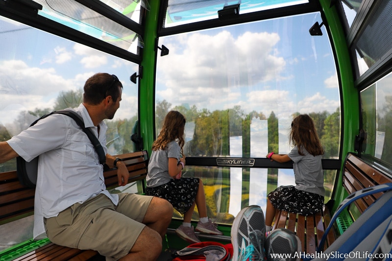 Skyliner Disney view