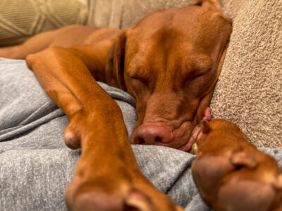 Currently (March 2024)