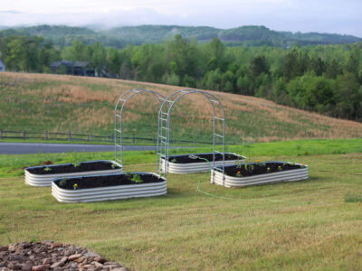 I Started a Garden: Spring 2025