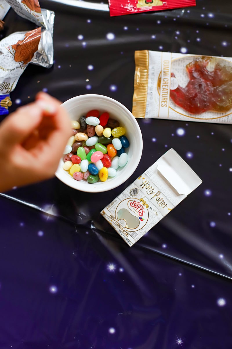 harry potter watch party (6 of 17)