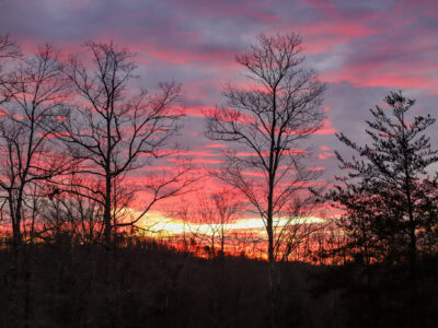 New Year Goals: 2025