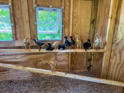 Currently (Late July 2025)