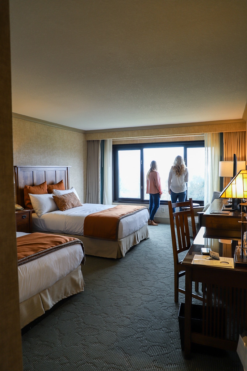 grove park inn mountain view room