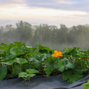 Snippets from Prep Week