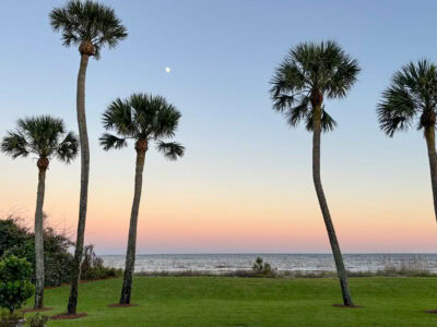 Favorite Moments from Sea Island