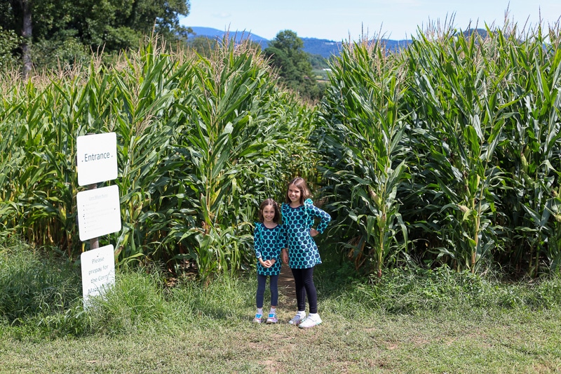 Stepp's Hillcrest Orchard NC (17 of 23)
