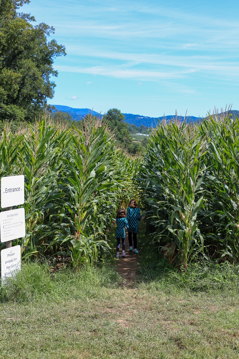 Stepp's Hillcrest Orchard NC (18 of 23)