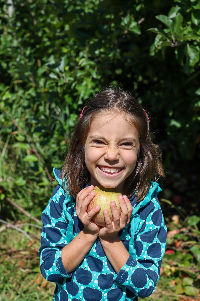 Stepp's Hillcrest Orchard NC (3 of 23)