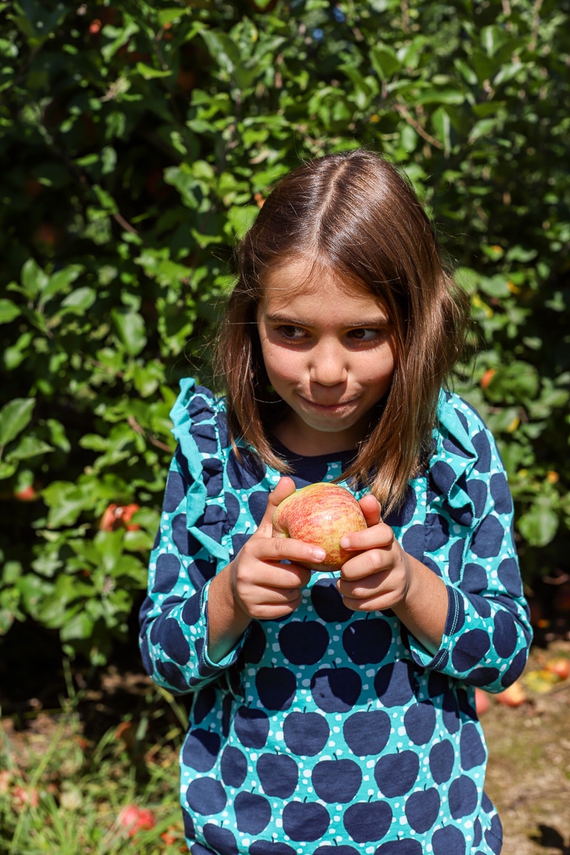 Stepp's Hillcrest Orchard NC (5 of 23)