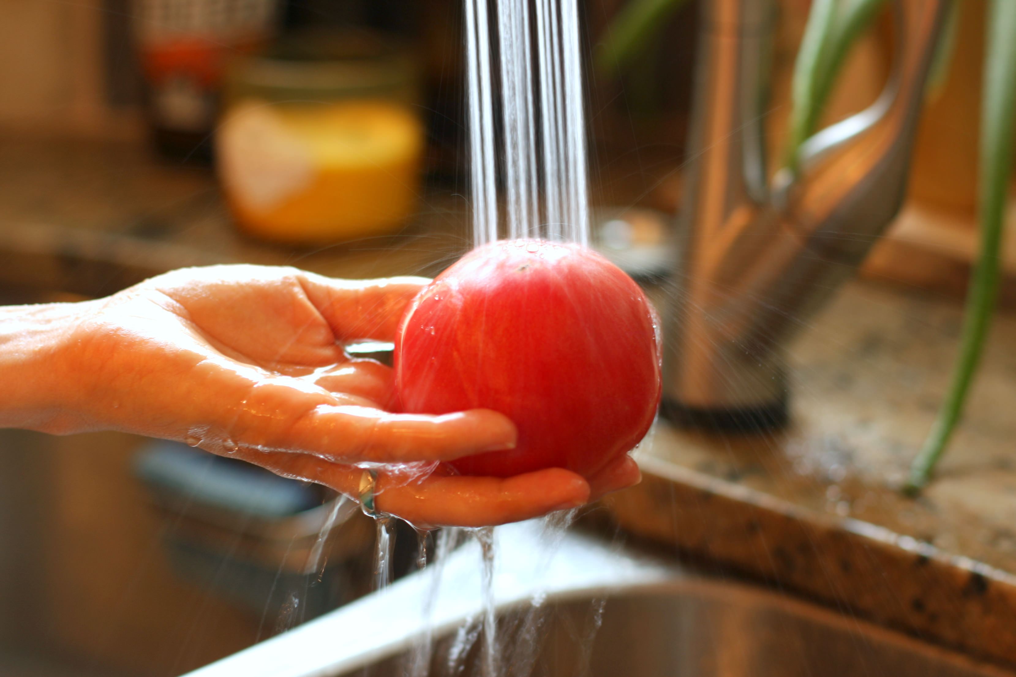 Summer Meal Prep Ideas