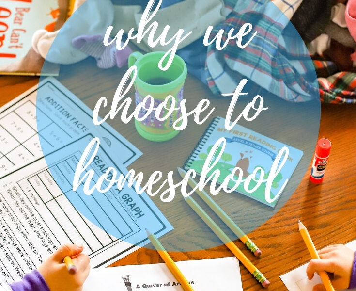 Our path to homeschooling