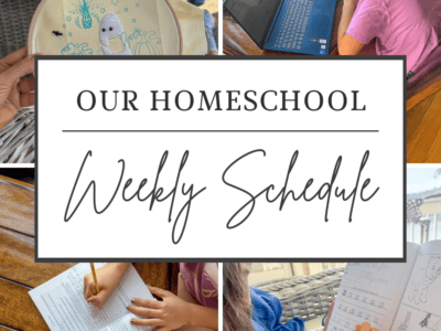 Curriculum Update: 7th Grade and 5th Grade